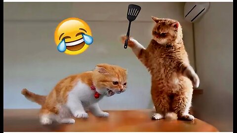 Cute_Animals_Video_ 🐶🐱🤣#viral_#trending_#russia_#funny_#philippines_#usa_ #china(1080p).mp4