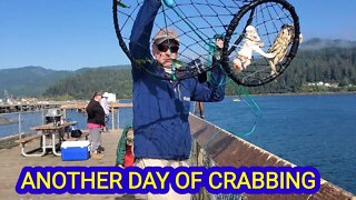 Gone Crabbing- Oregon Coast