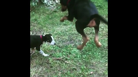Minding his own business when…