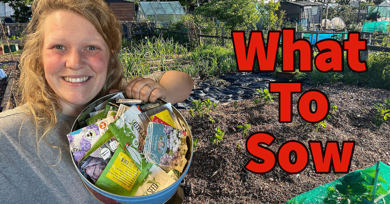 Late Spring Seed Sowing: The Best Seeds to Plant for a Bountiful Allotment Harvest
