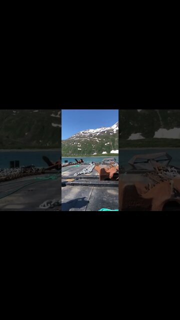 #shorts #2022 funny,prank,funjokes,dad jokes,funny memes,funny video,fun,laughing,funny animal,knock