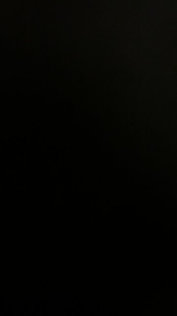 Whistling arrangement November 16, 2024