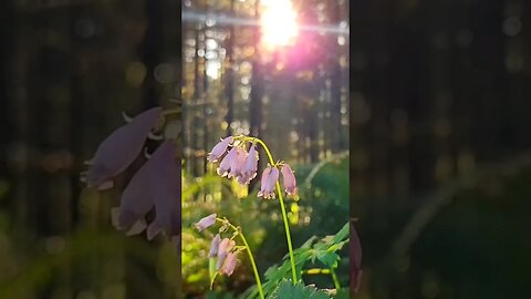 #July