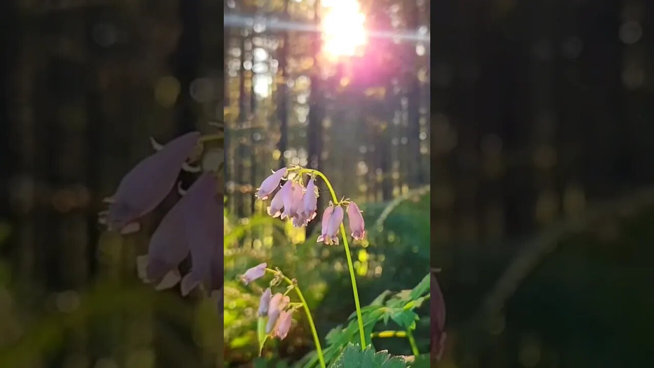 #July