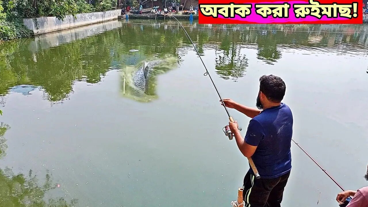 Big rohu fish catching!! 🐟😳