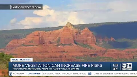 More vegetation can increase fire risks