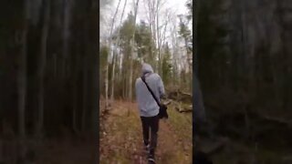 Sped up hike through the Forest