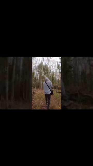 Sped up hike through the Forest