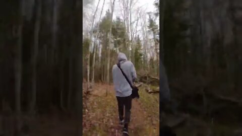 Sped up hike through the Forest