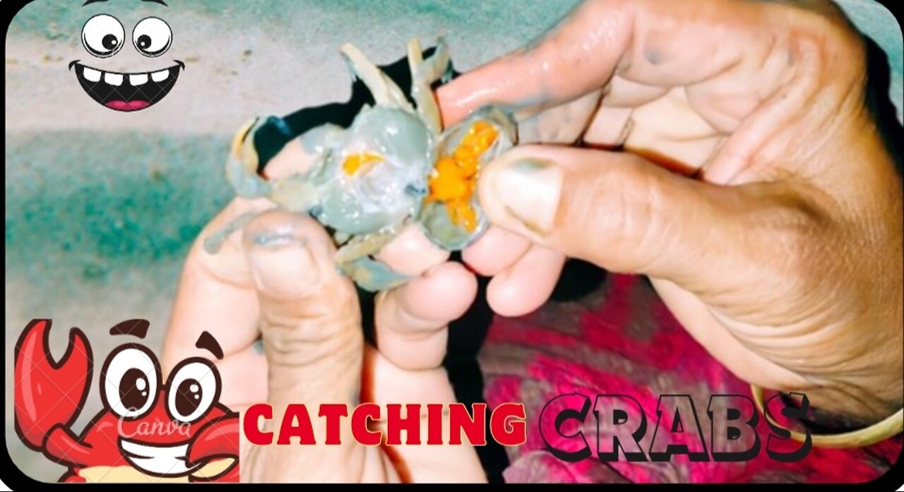 Catching crabs