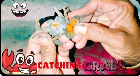 Catching crabs