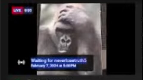 Live 2/7/2024 @ 5PM - neverlosetruth5