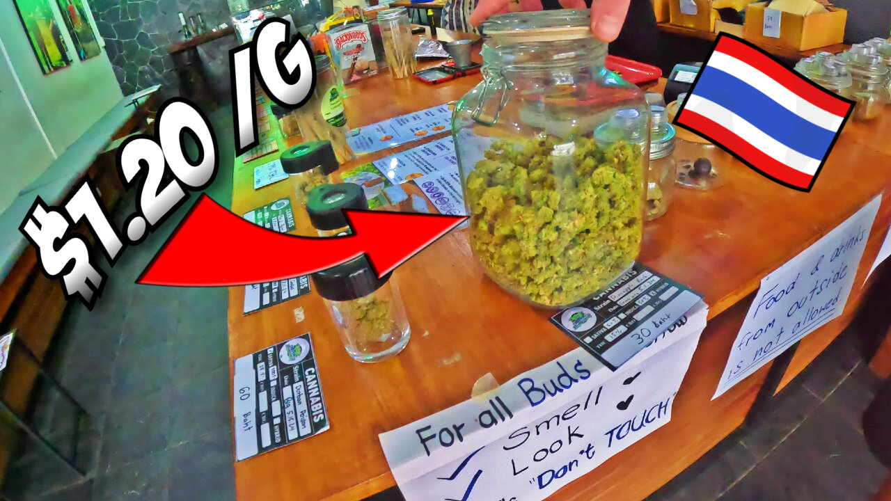 I Went To 7 Weed Stores In Chiang Mai, Thailand