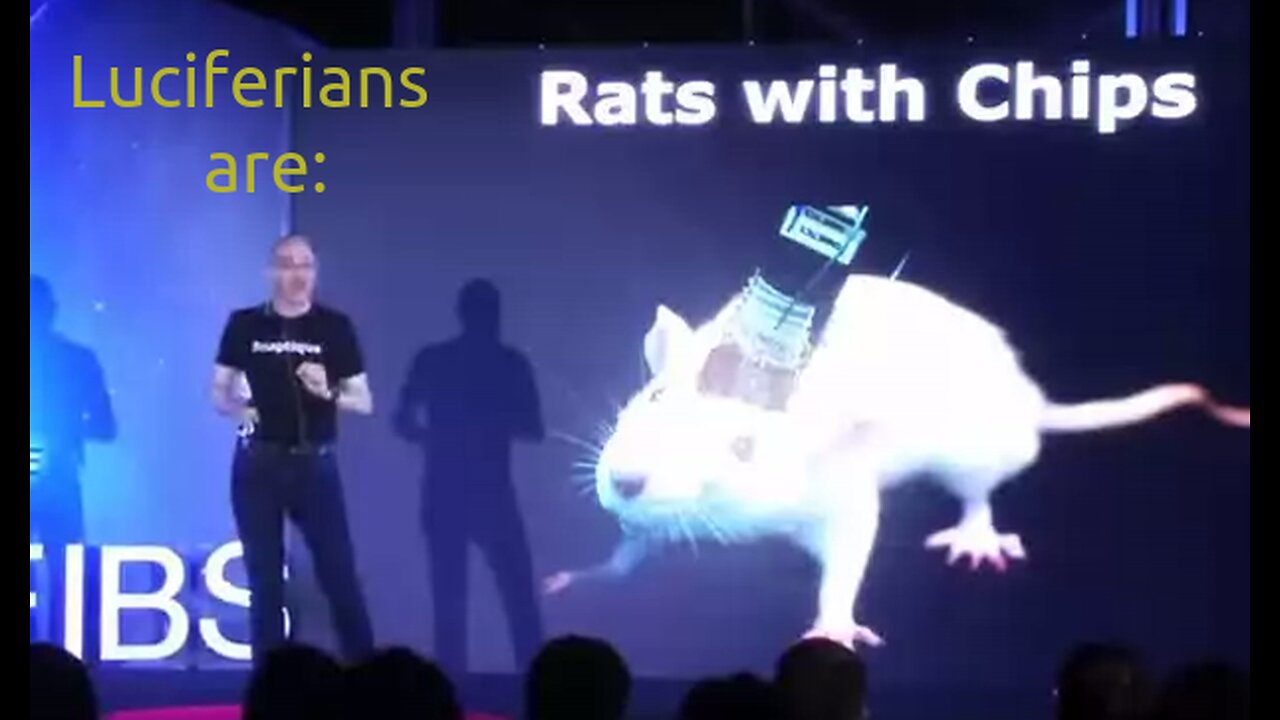 Luciferian Rats With Chips (Bio-Robot Rat Controlled by Another Chipped Rat)