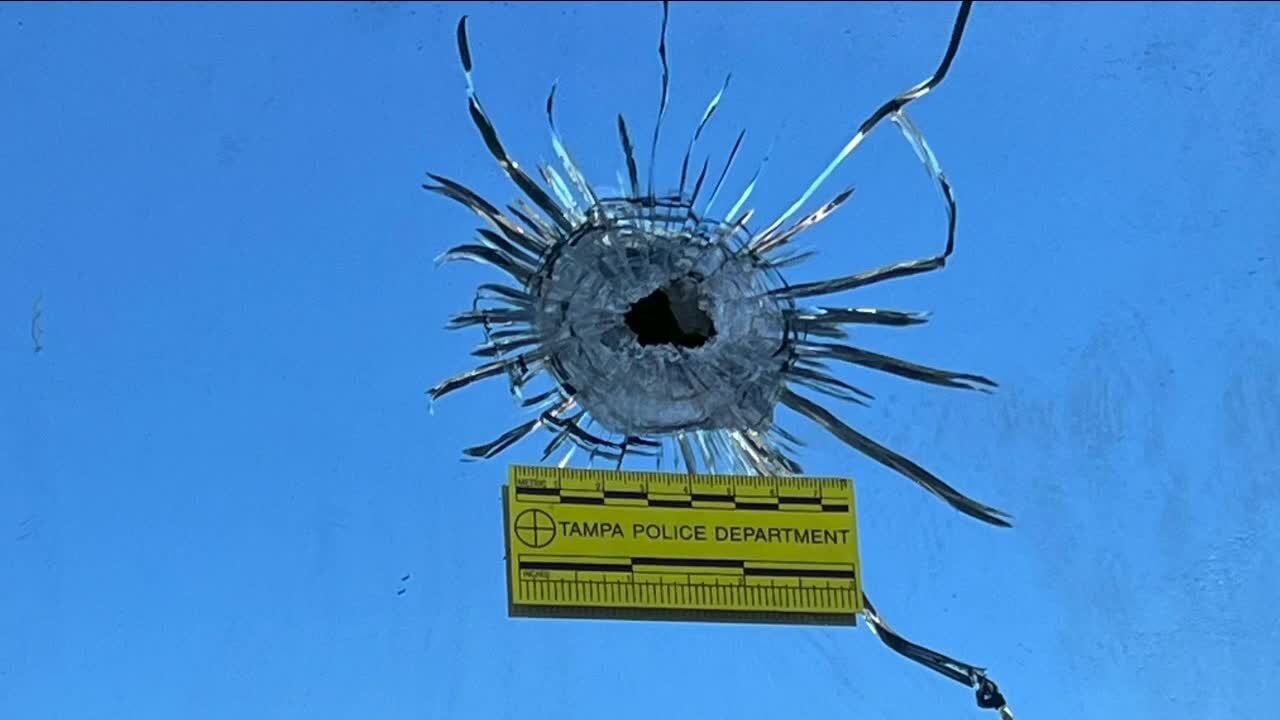 Business owners in West Tampa plead for help after recent shooting