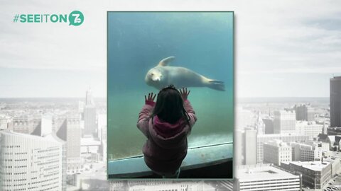 See It On 7 February Break Pics