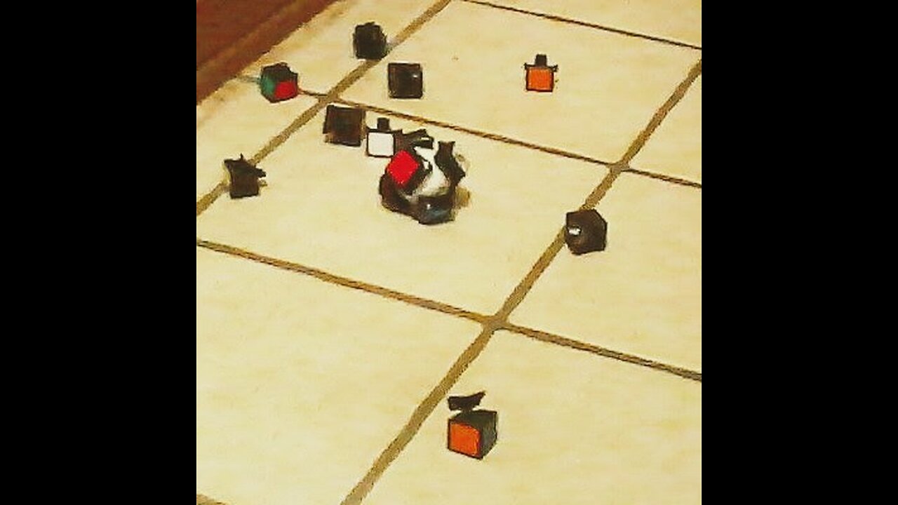 The Killing of a Minotaur (Performance Art Video)