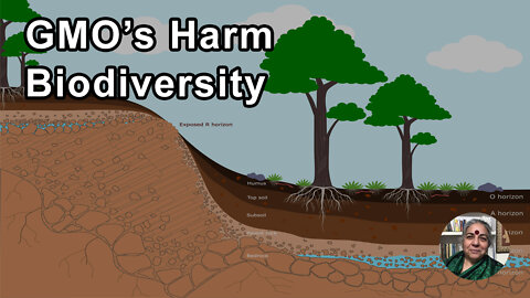 The New GMOs Are Based On The Same Assumption That Lead To The Failure Of The First Generation