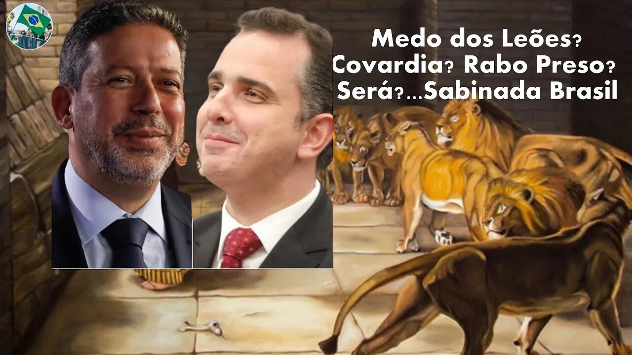 Presidentes Sociólogo Covarde, Corrupto e Covarde, Burros e Covardes , Hoje temos um: ...#shorts