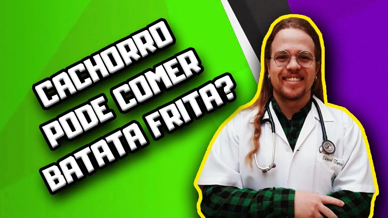 Cachorro pode comer batata frita? #shorts