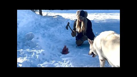 CAST IRON, Beaver Tails & Dogs! Oh My!! Off Grid Cabin Living/ Ep-62