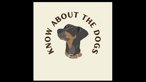 My Pawsitively Adorable Dog!"