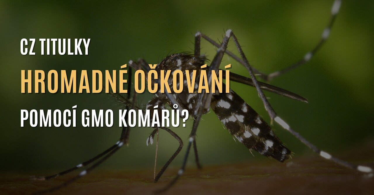 Hromadné očkování pomocí GMO komárů? (CZ TITULKY)