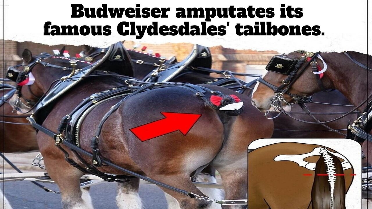 It Seems Budweiser Has a Thing for Cutting Off Appendages.