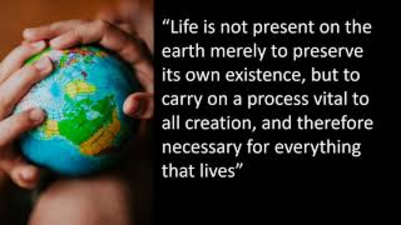 Maria Montessori Quotes On The Beginning of Life