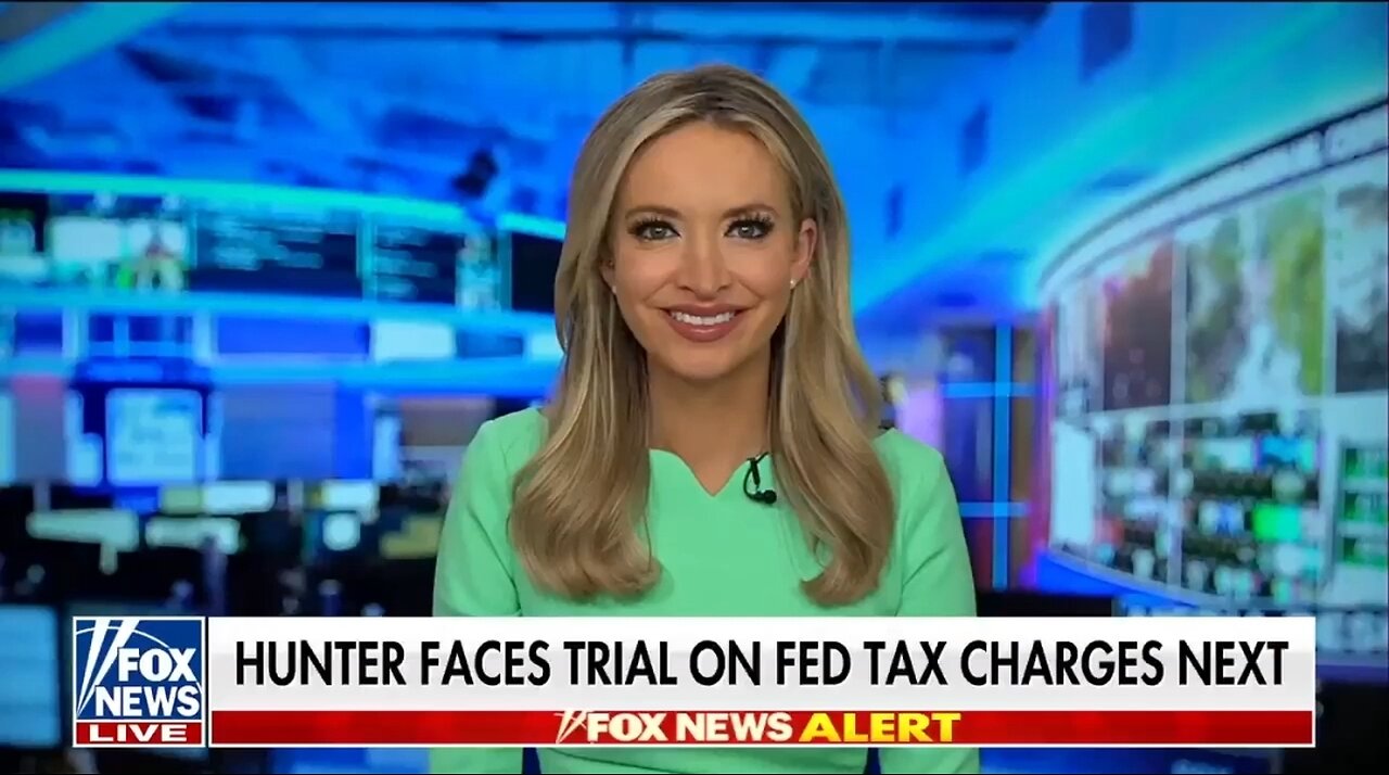 Kayleigh McEnany: This Is Why Hunter Has To Take Plea Deal In Tax Evasion Case