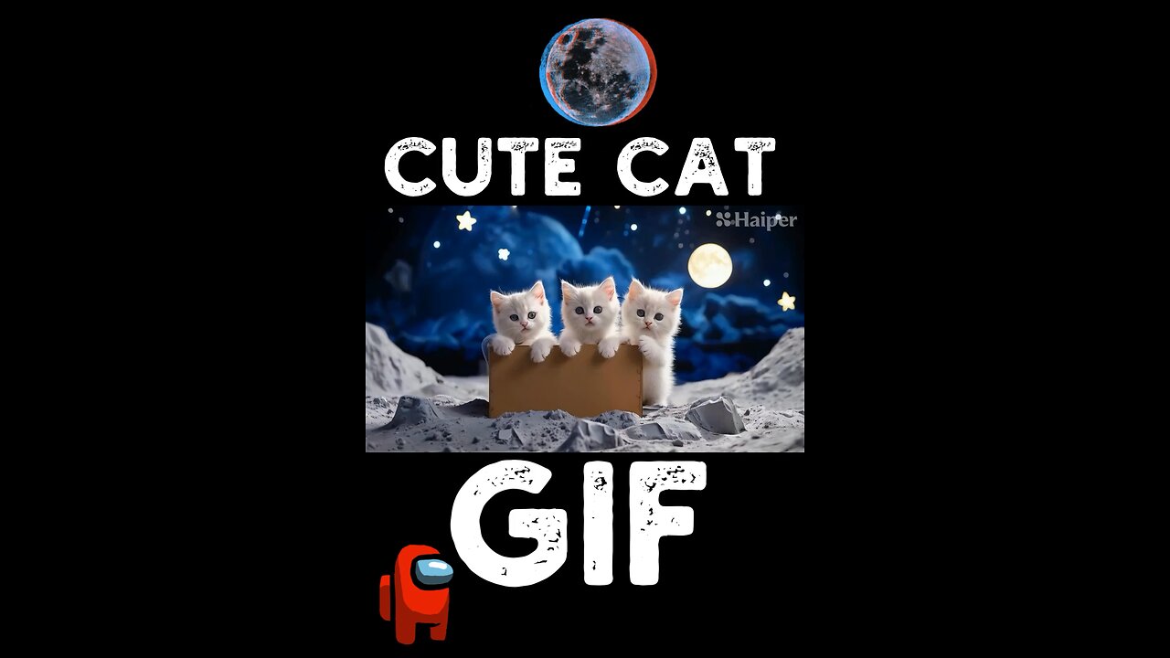 Cute Cat Gif