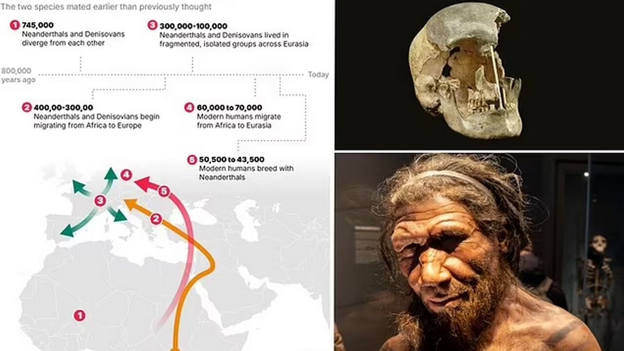 "Neanderthals & Humans: Mating Timeline"