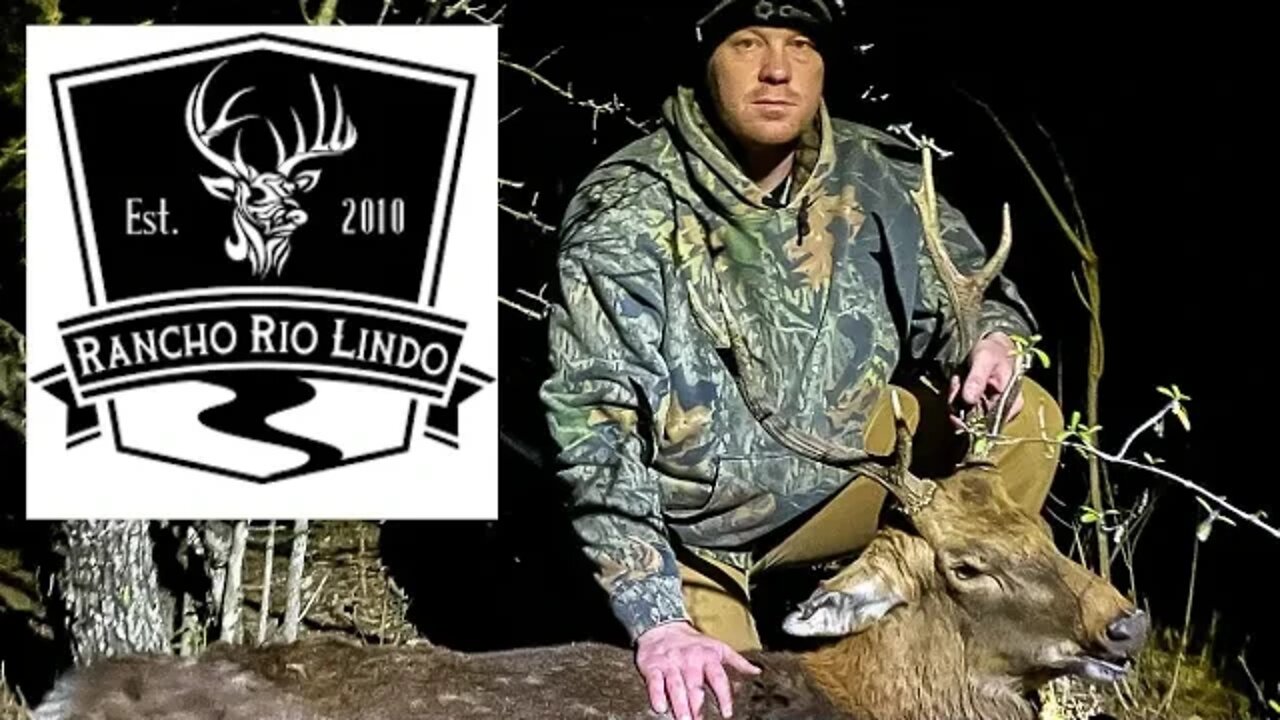 338WIN MAG TEXAS HUNT - Sika Deer, Hogs, Oryx, Whitetail Deer - @Rancho Rio Lindo