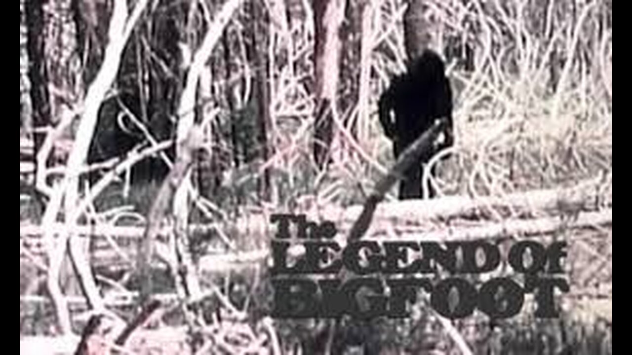 The Legend Of Bigfoot