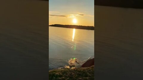 Sun set against the water