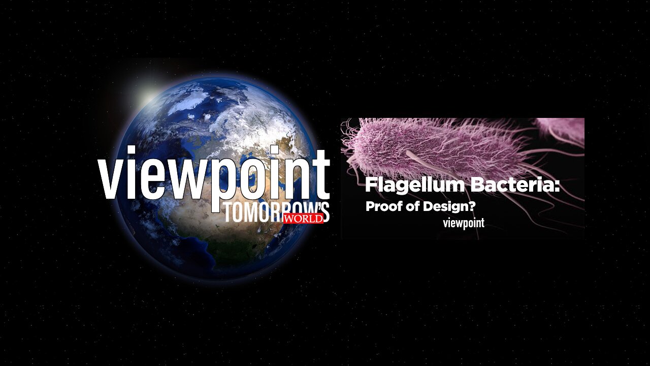The Flagellum Bacteria: Proof of Design?