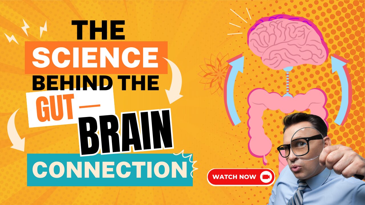 The Science Behind The Gut-Brain Connection