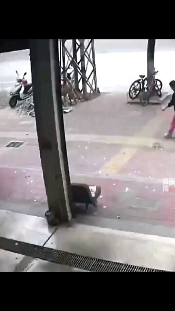 Dangerous street dogs||horrible attacking on road