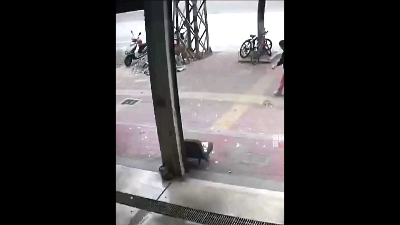 Dangerous street dogs||horrible attacking on road