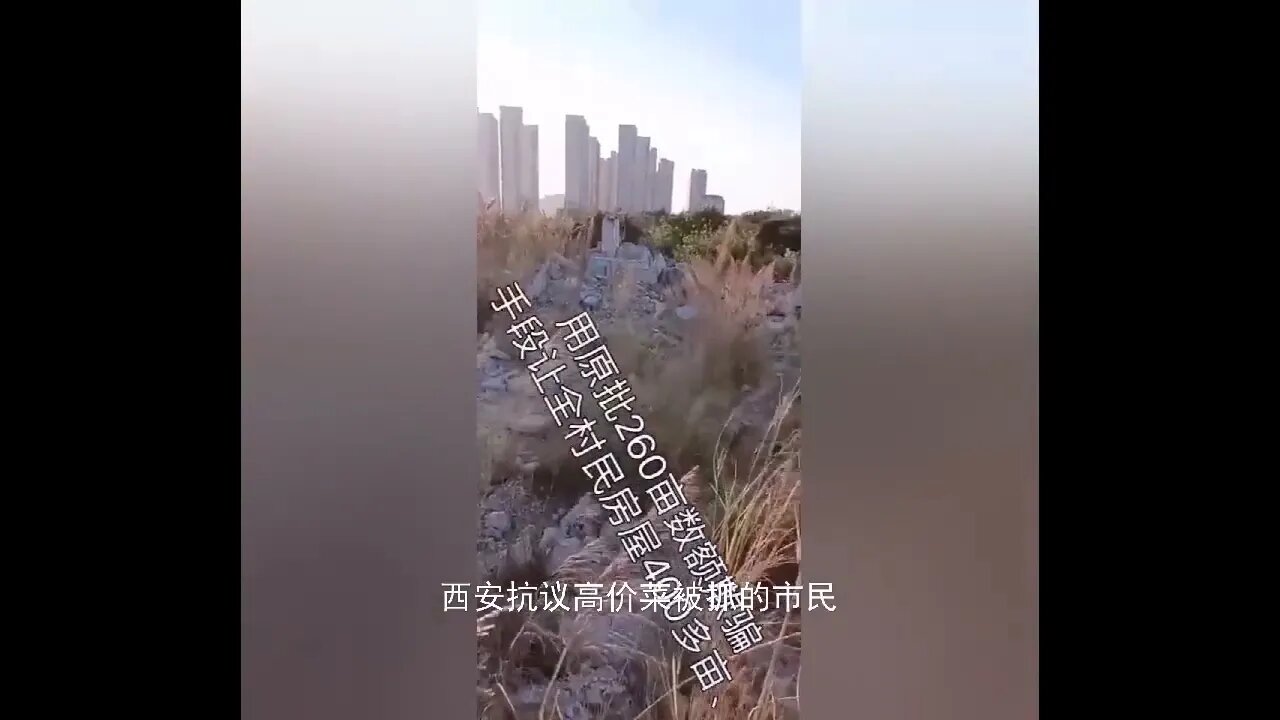 幸福像花儿一样，爱死你了，我伟大的国！#疫情#封城#抗议高价菜被抓#老警察被强拆#集中营里的网瘾少年#爱国歌曲