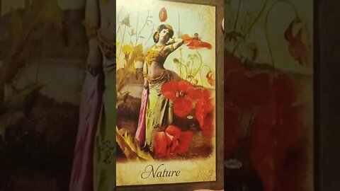Oracle Messages for Leo, Love of a Higher Nature...Expansiveness...Healing... #shorts