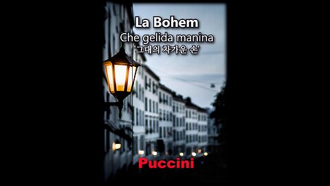 Puccini Opera La Bohem / Che Gelida Manina #1