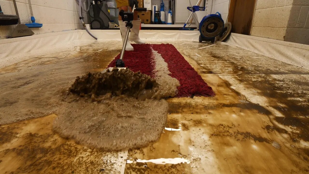 Red Shaggy Rug Is Caked In Mud. Satisfying ASMR Timelapse.