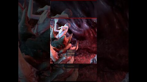 Warframe Player vs Isolation Vault
