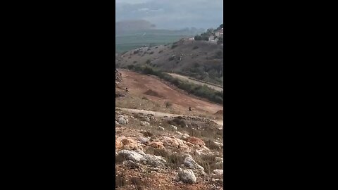 REINFORCEMENTS FROM HEZBOLLAH ARRIVE