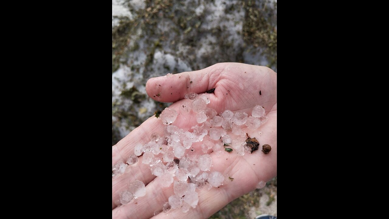 It hailed on 5th August 2023 😂😂😂