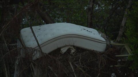 Hurricane debris gathering in mangroves has beach residents worried