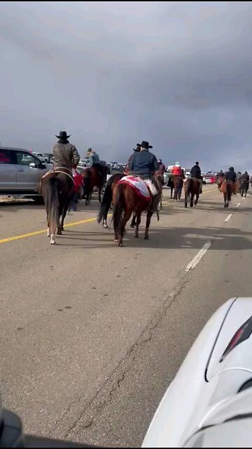 300 horses and riders descend on Coutts border protest