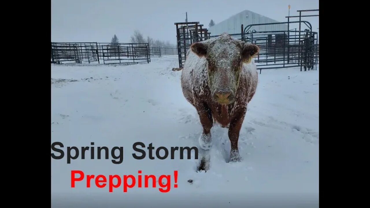 PREPPING! | Spring Storm | Montana Ranch | Hashknife Ranch