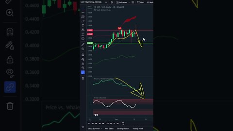 XRP Holds After SEC Ruling!! But Whales To CRASH -8.35%? | Ripple Price Prediction